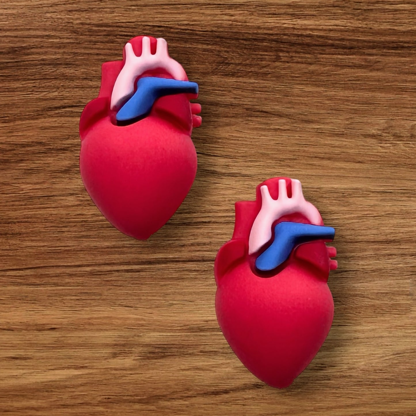 3-D Heart Focal