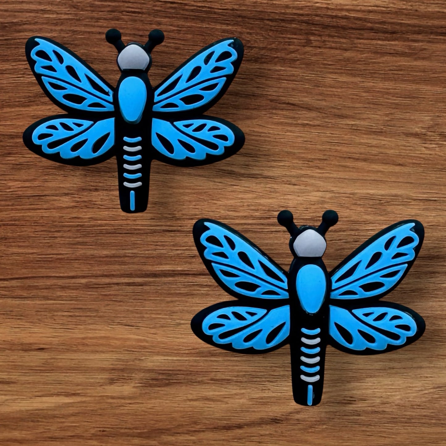 3-D Dragonfly Focal