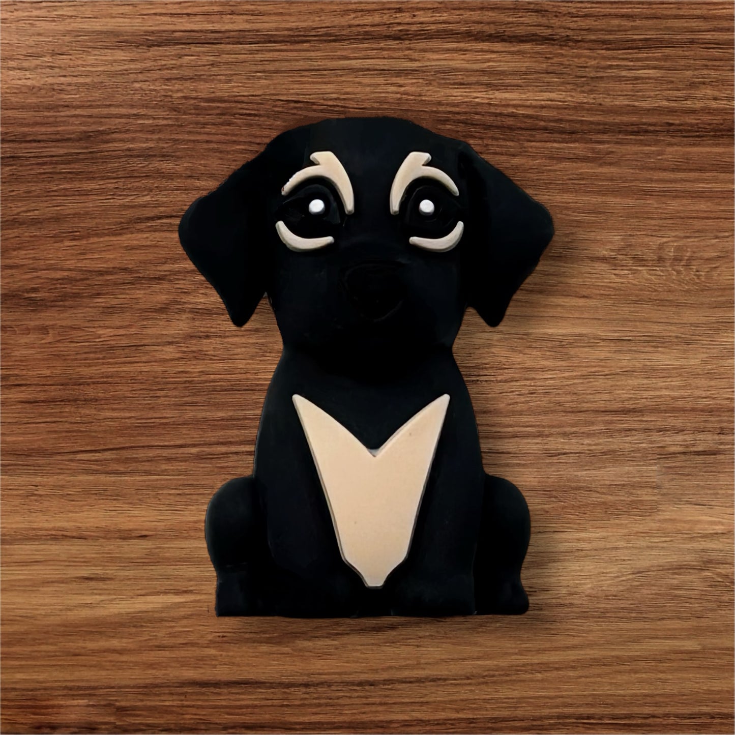 3-D Dog Focal
