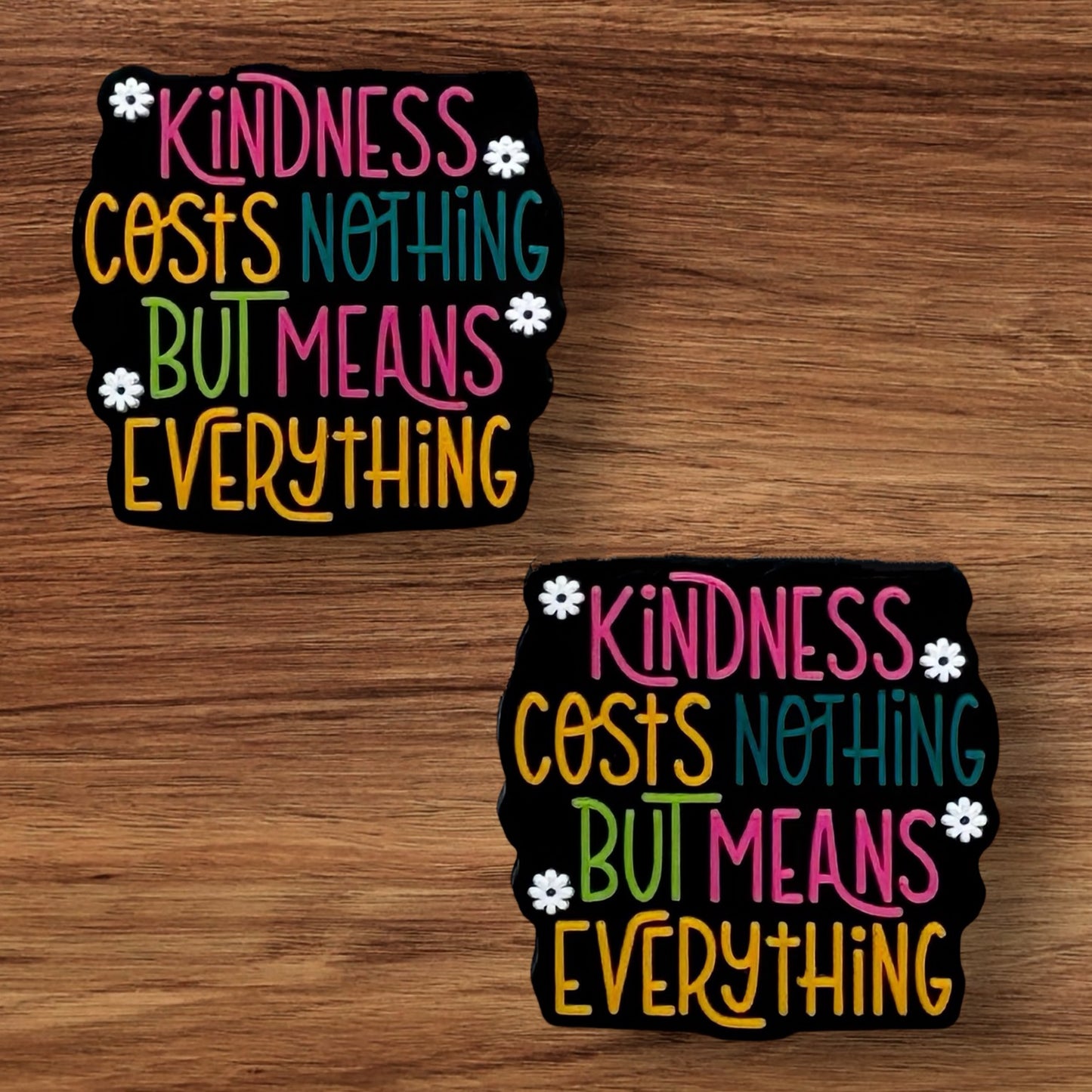 Kindness Cost Nothing But Means Everything Focal