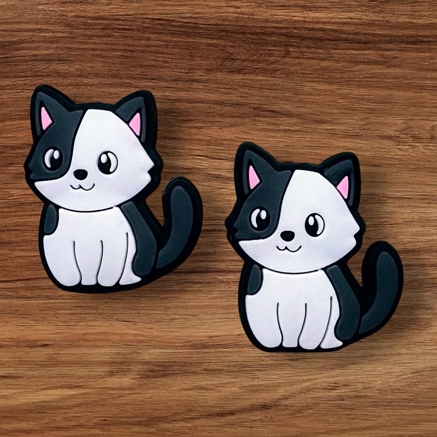 Black and White Cat Focal