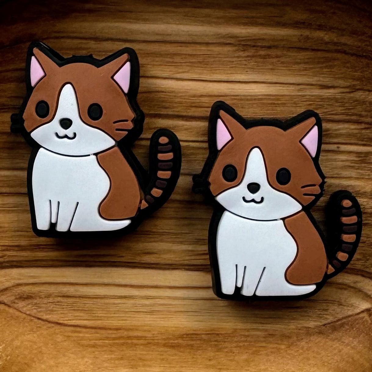 Brown and White Cat Focal