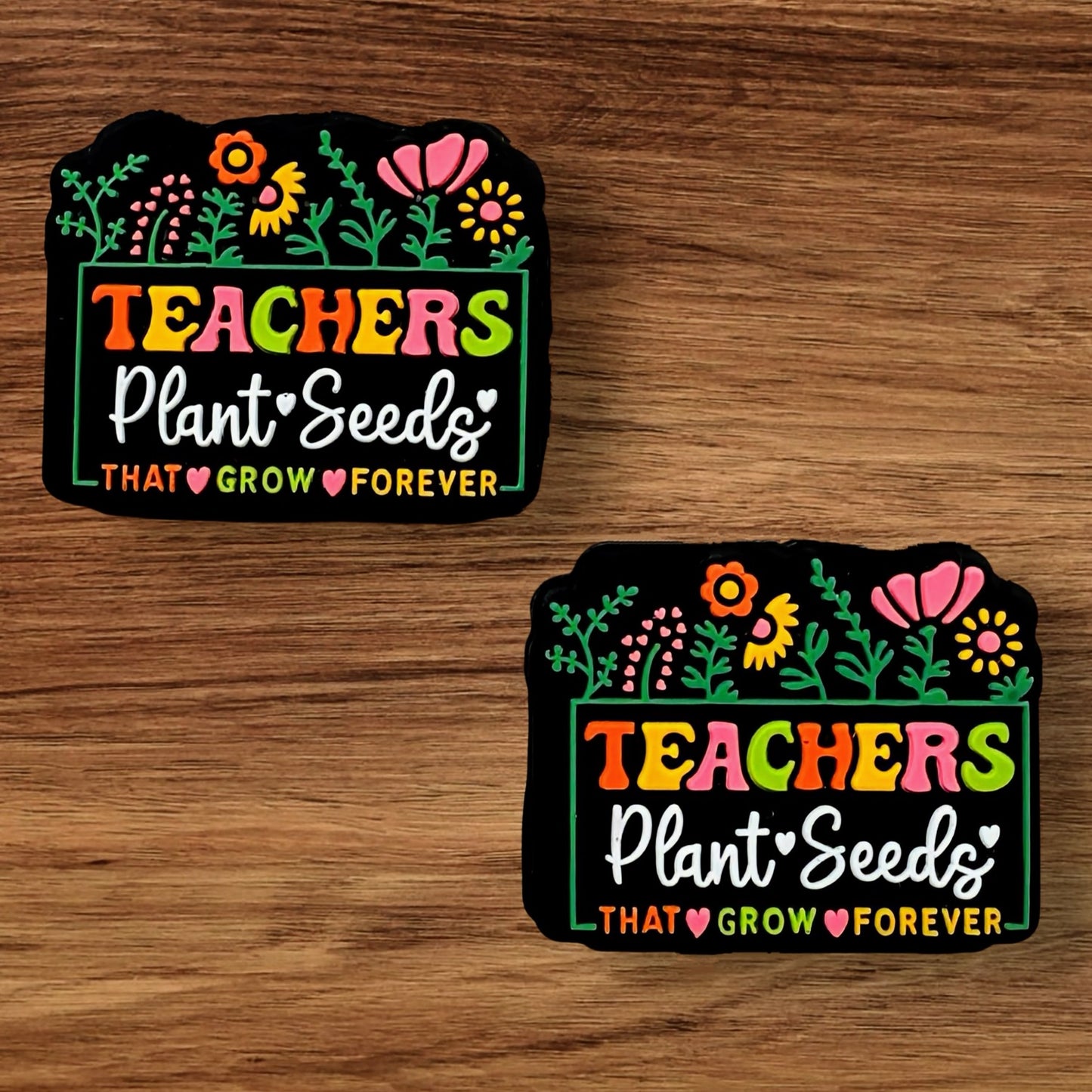 Teachers Plant Seeds Focal