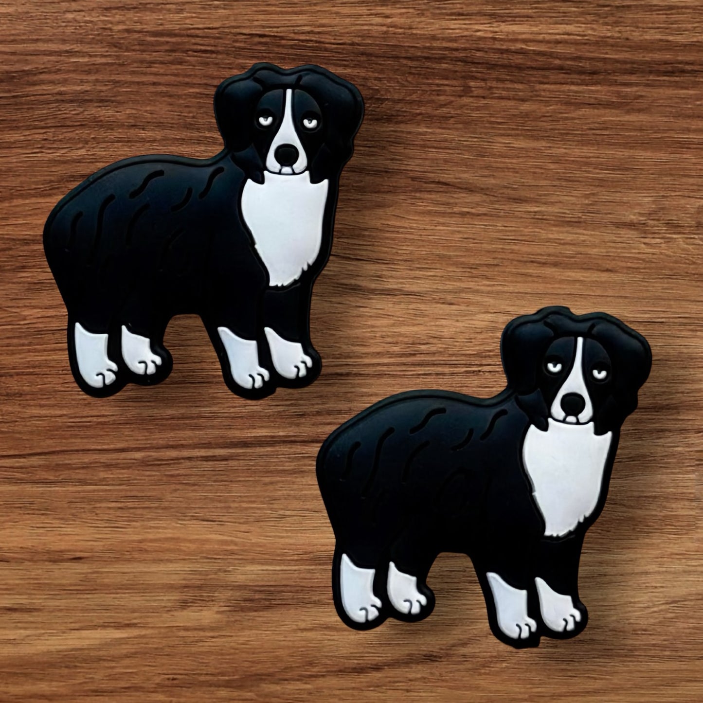 Black and White Dog Focal