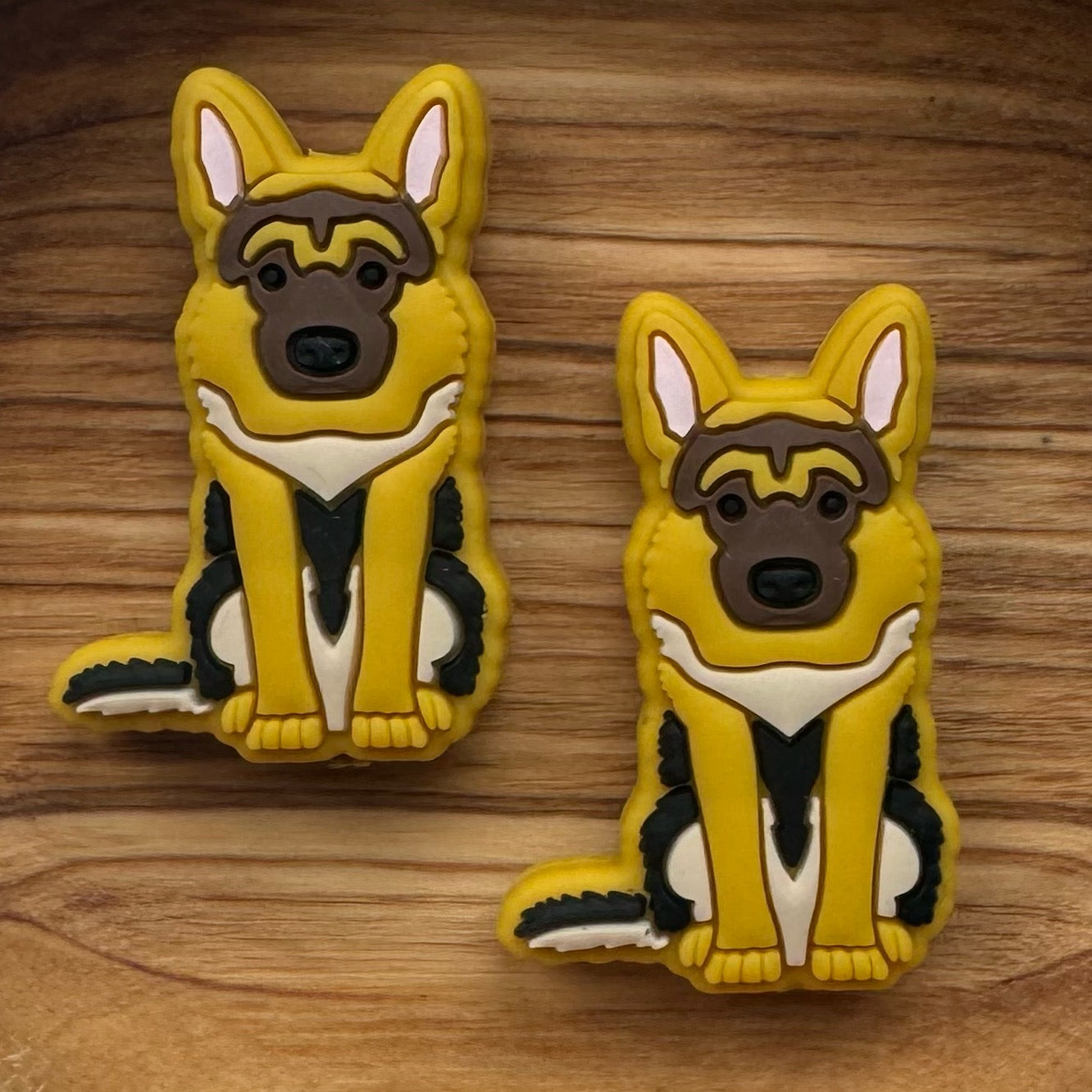 German Shepherd Focal