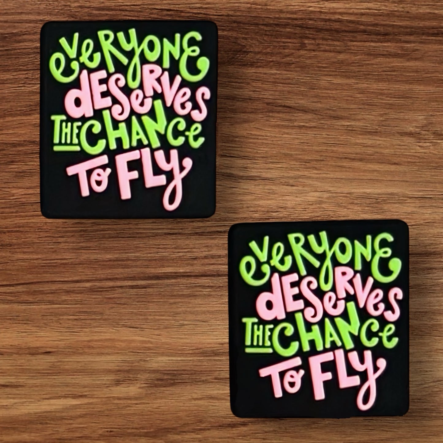 Everyone Deserves The Chance To Fly Focal