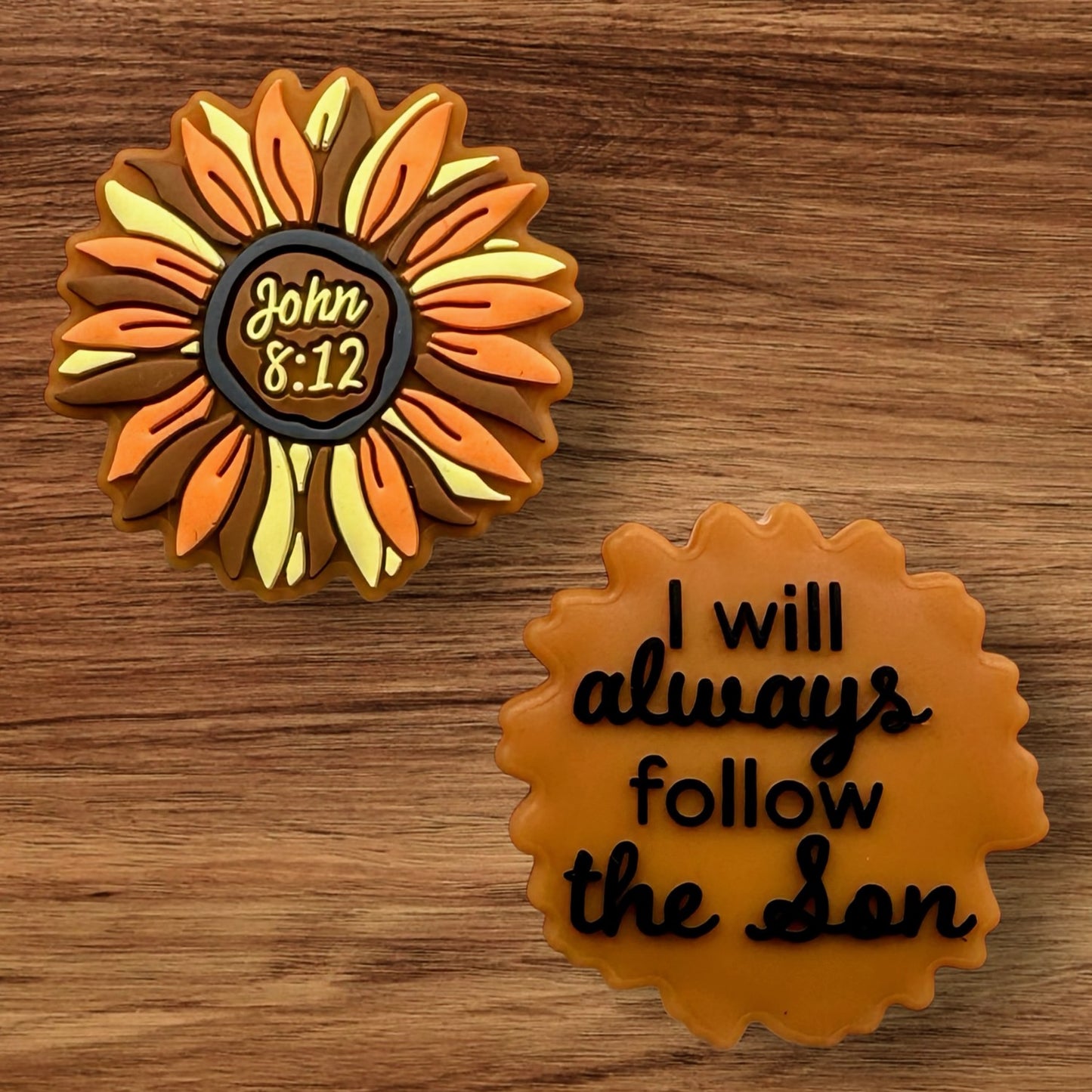 I Will Always Follow The Son Focal
