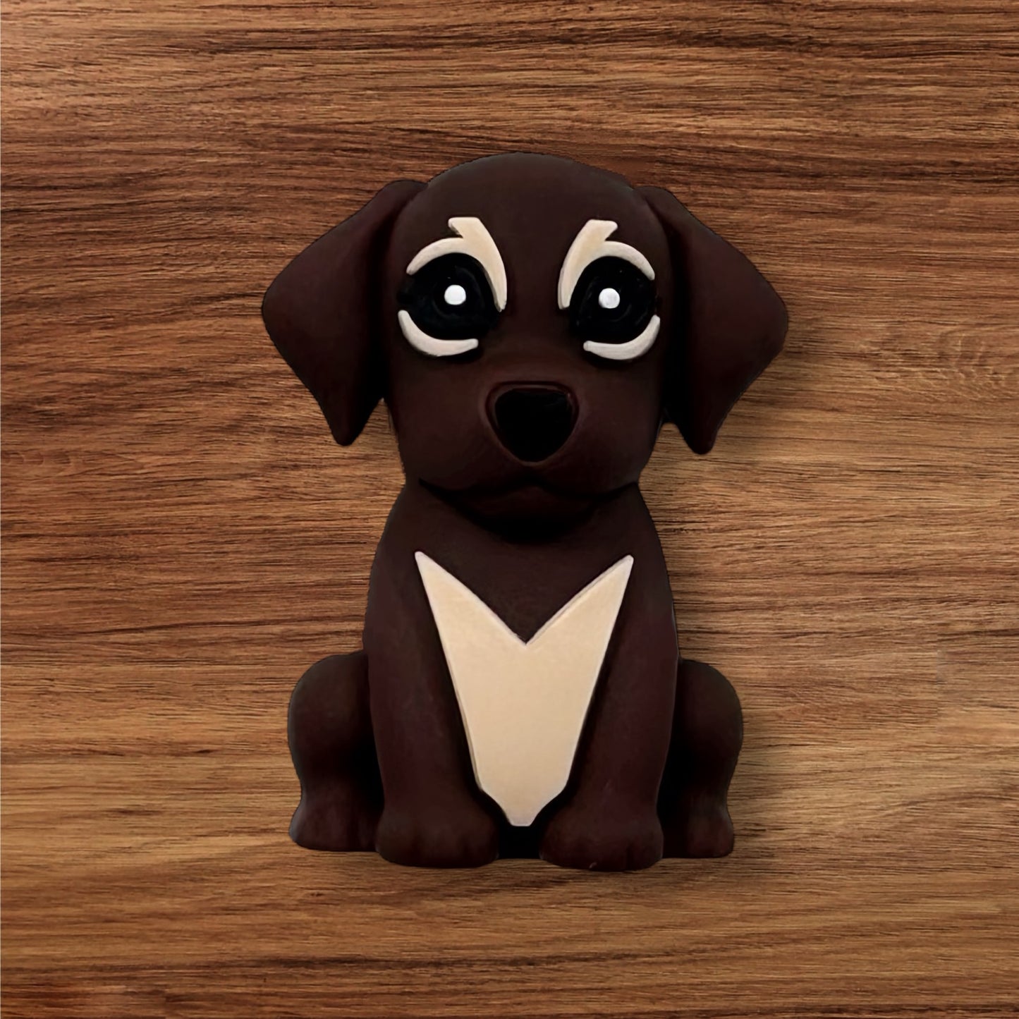 3-D Dog Focal