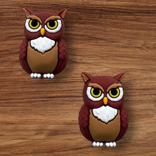 3-D Owl Focal