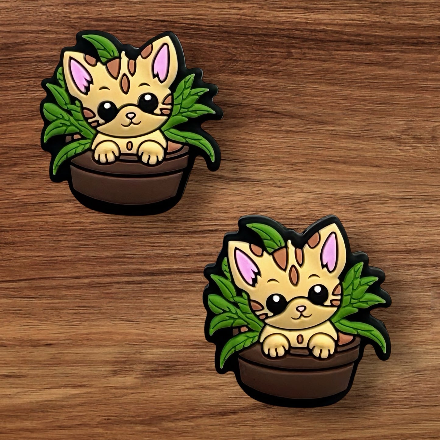 Kitty In Plant Focal