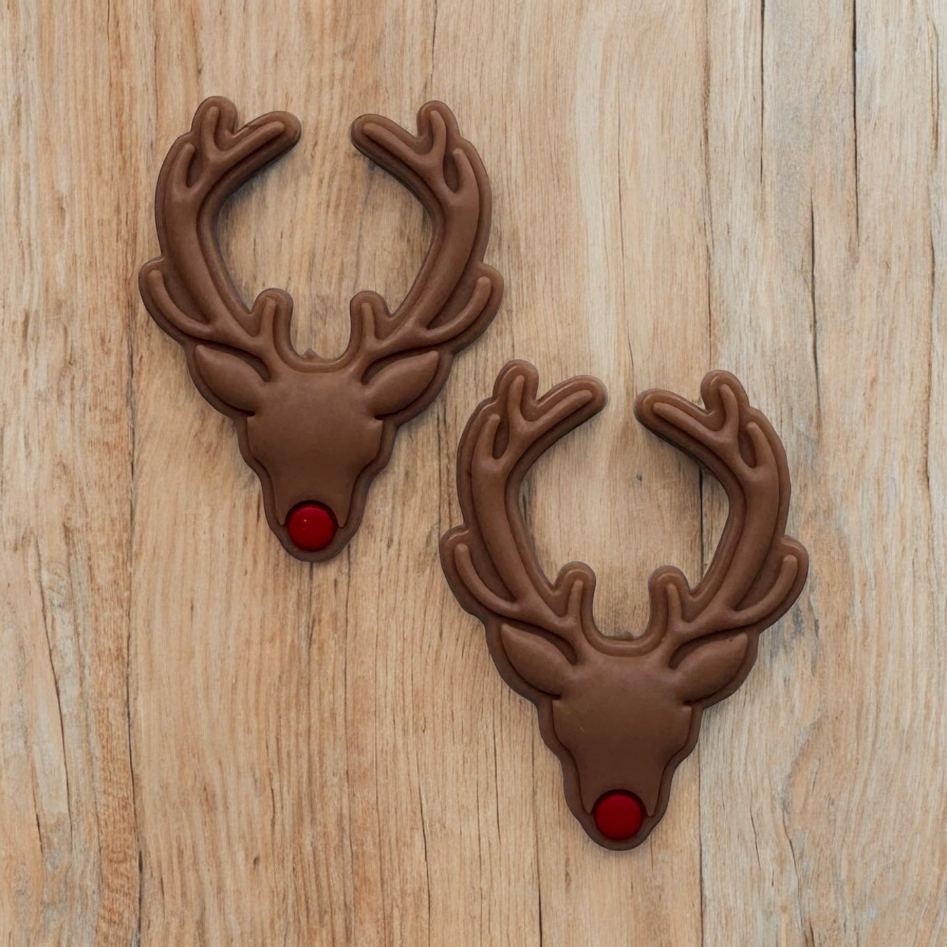 Reindeer Antlers Focal