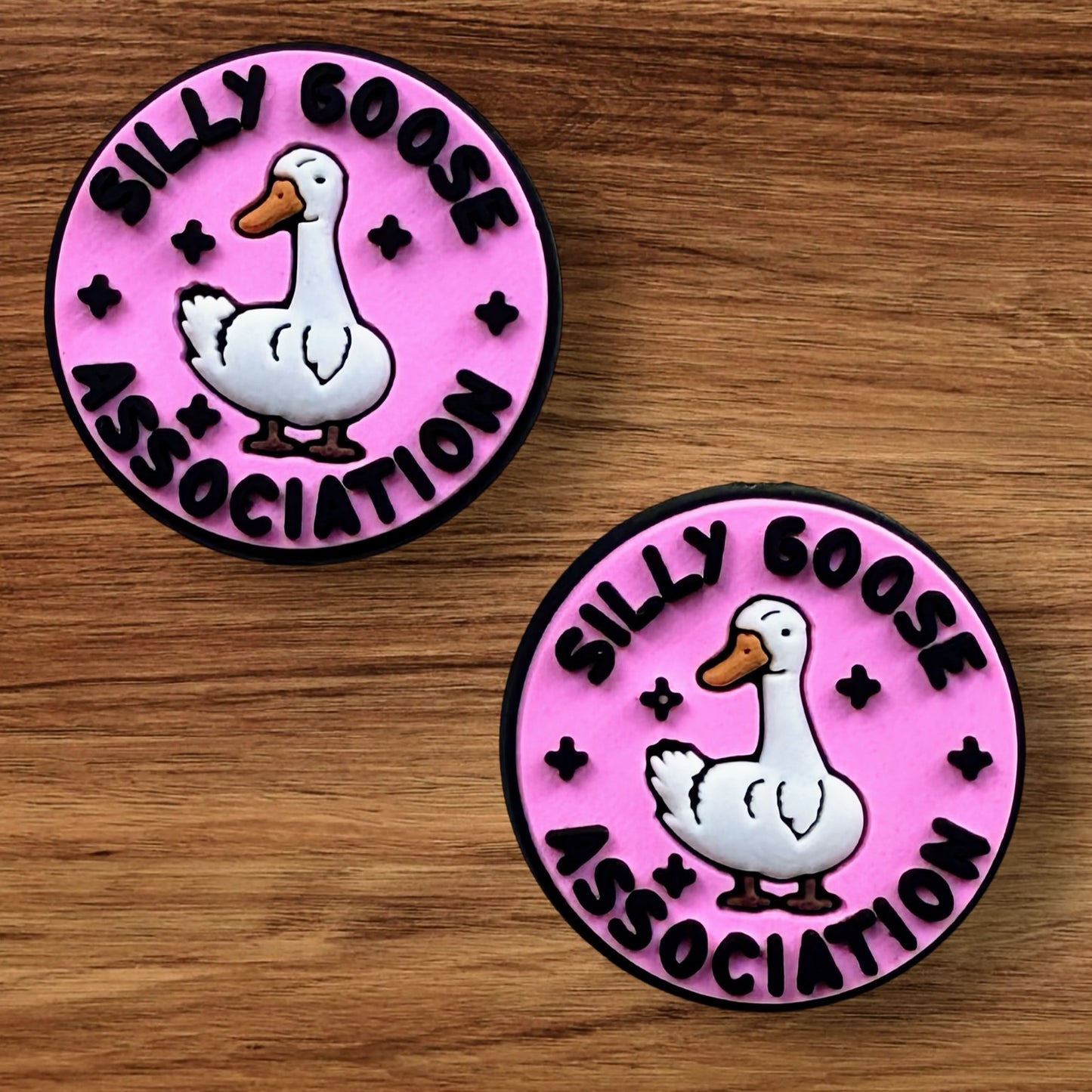 Silly Goose Association Focal