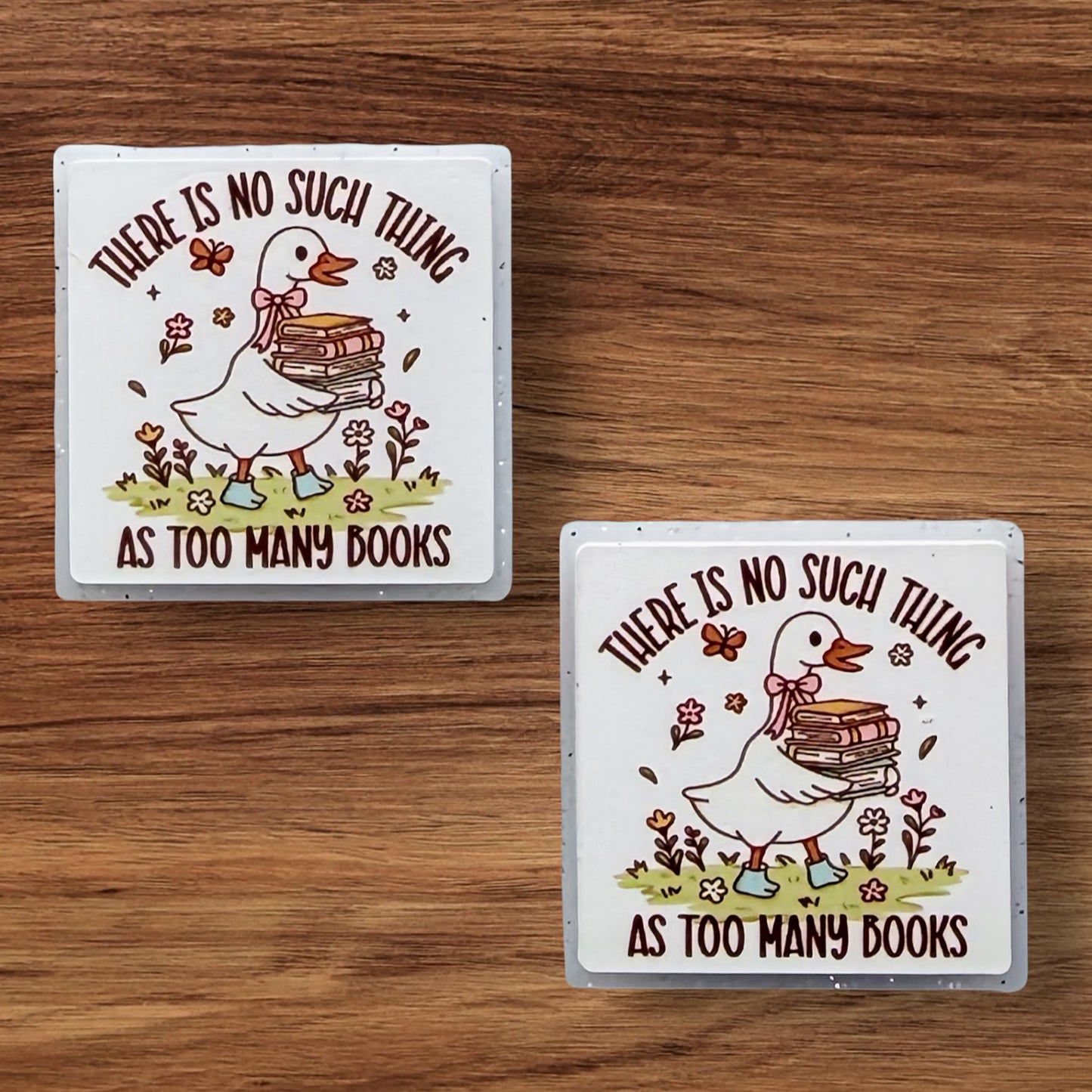 There’s No Such Thing As Too Many Books Focal (Custom)