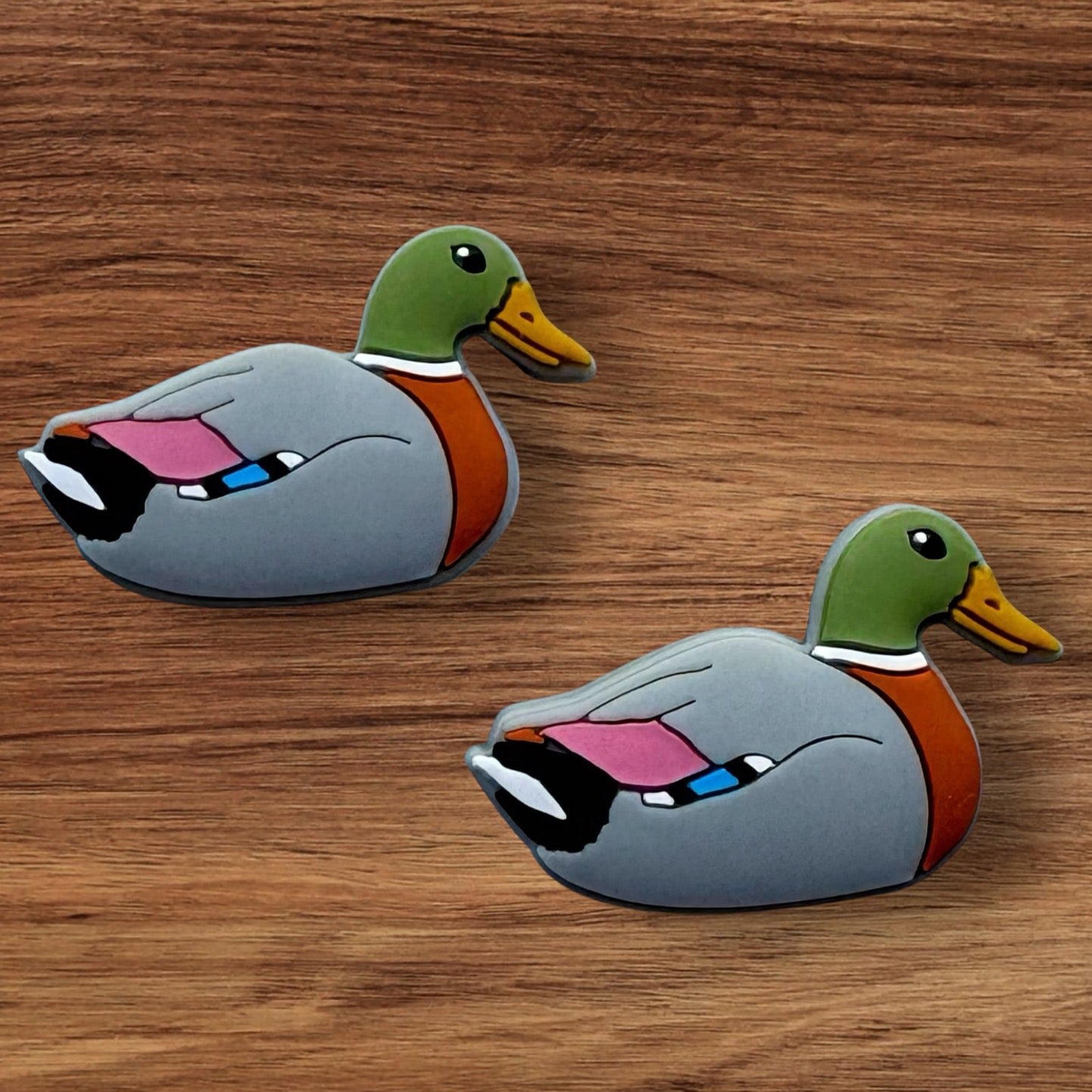 Mallard Duck Focal