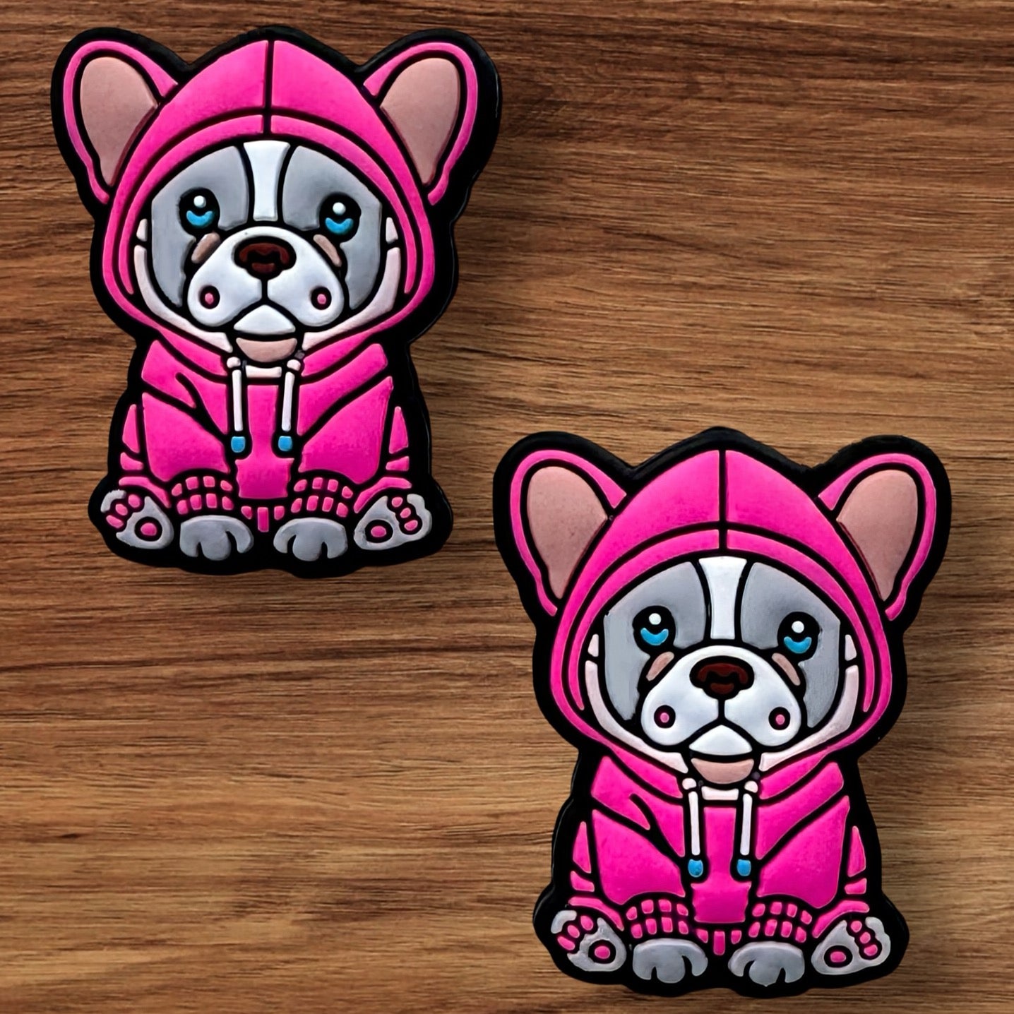 Dog In Pink Sweatshirt Focal