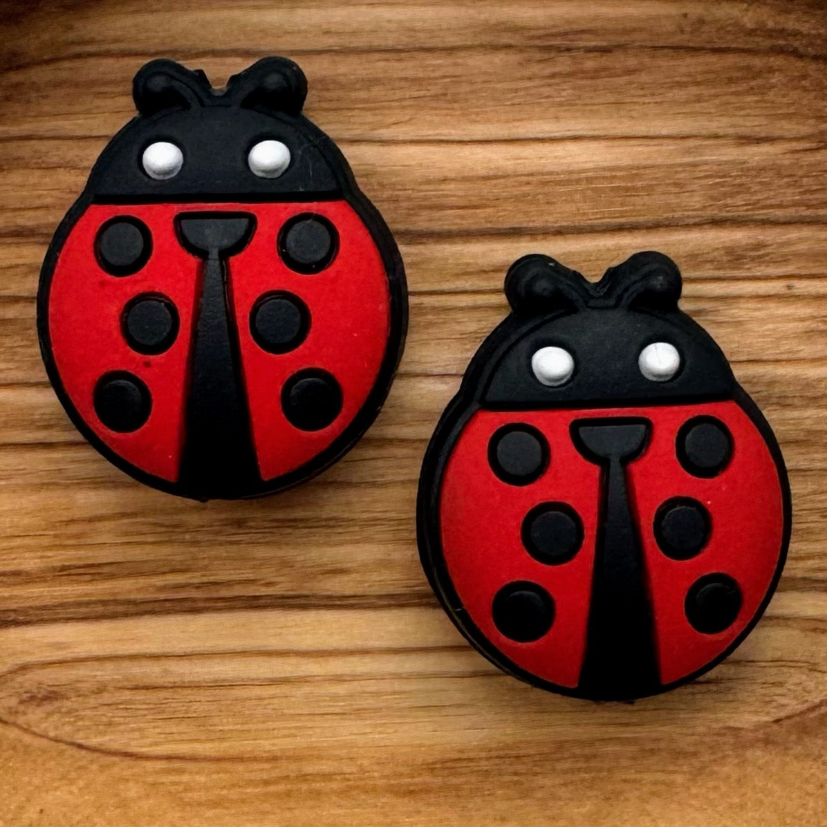 Lady bug Focal