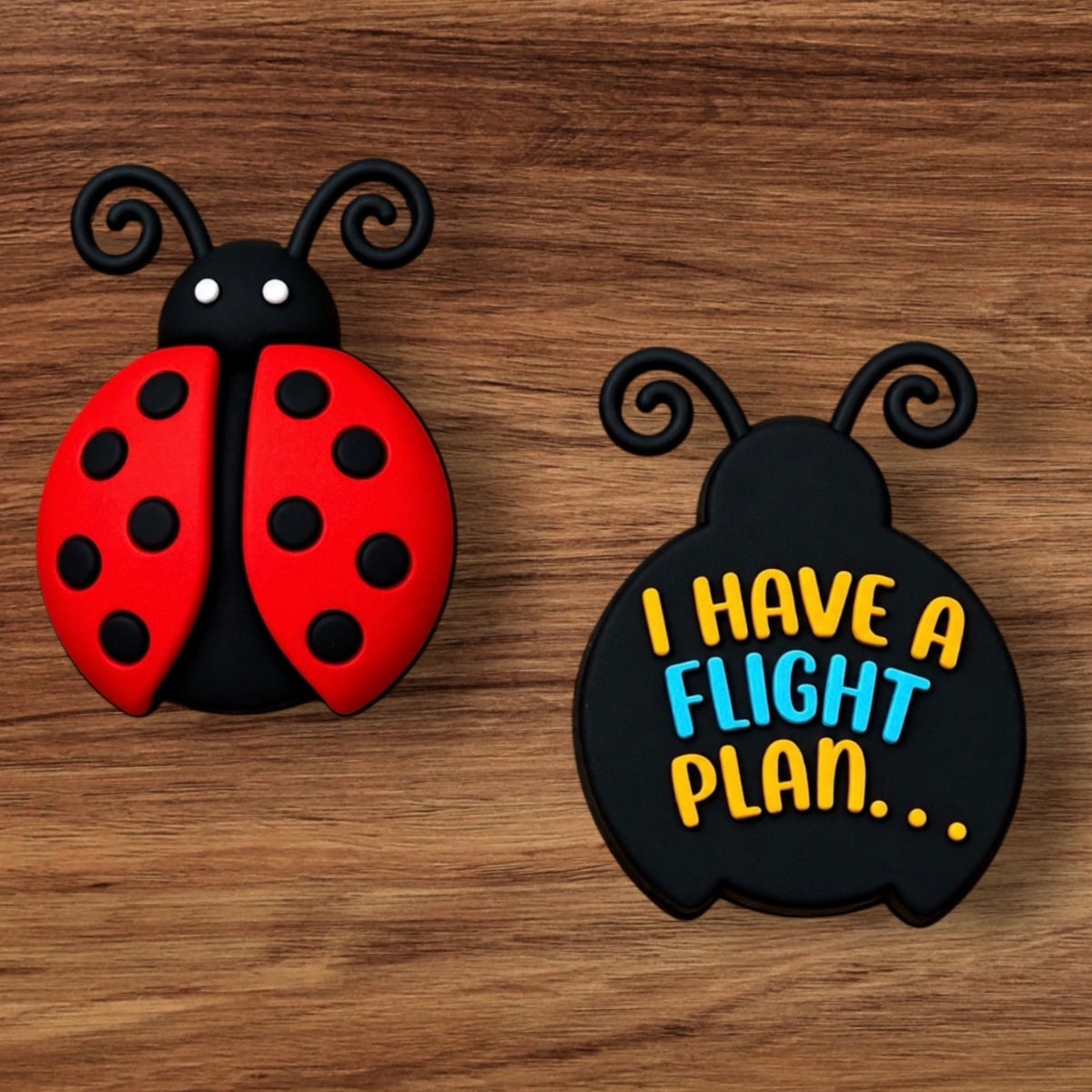 3-D Ladybug Focal