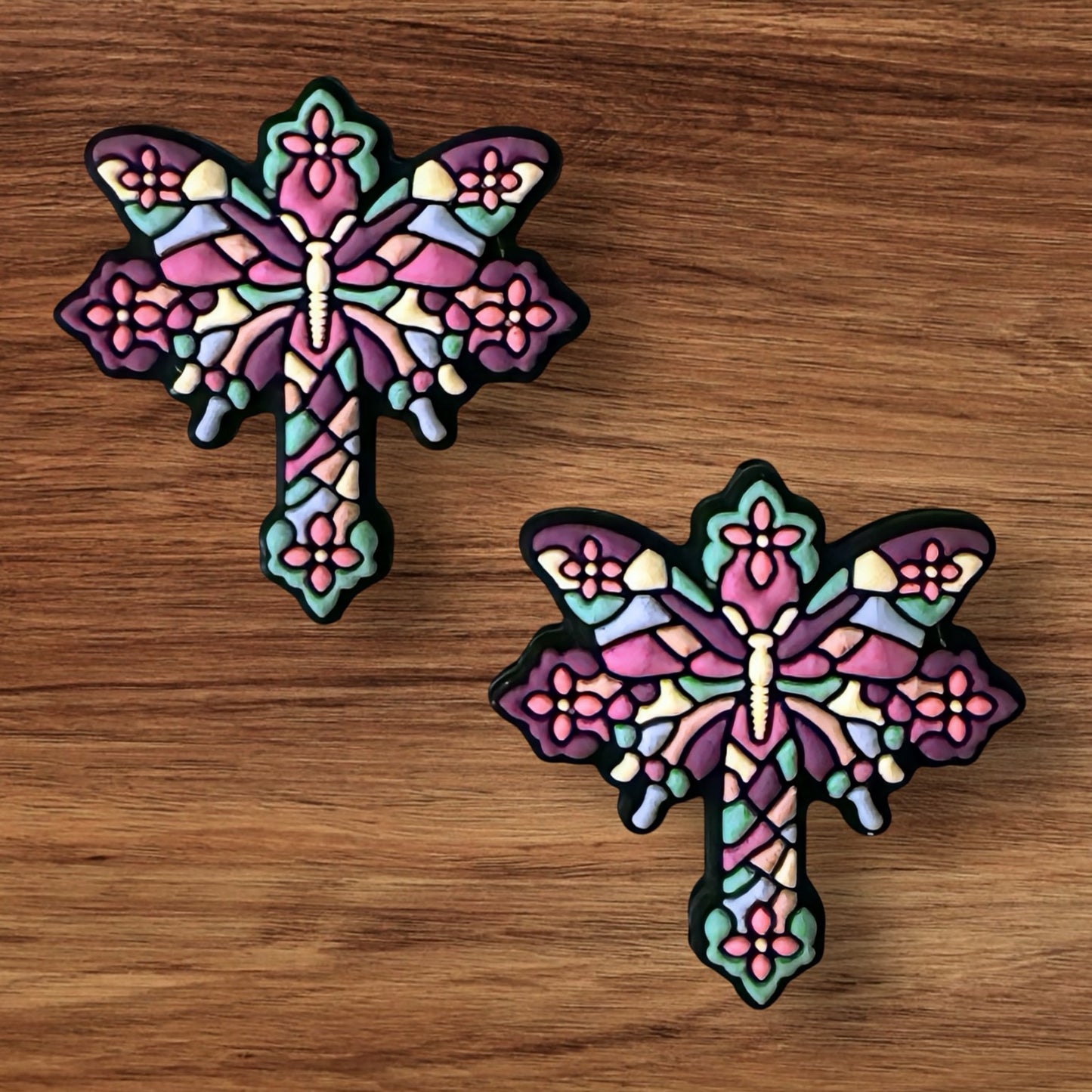 Colorful Dragonfly Focal