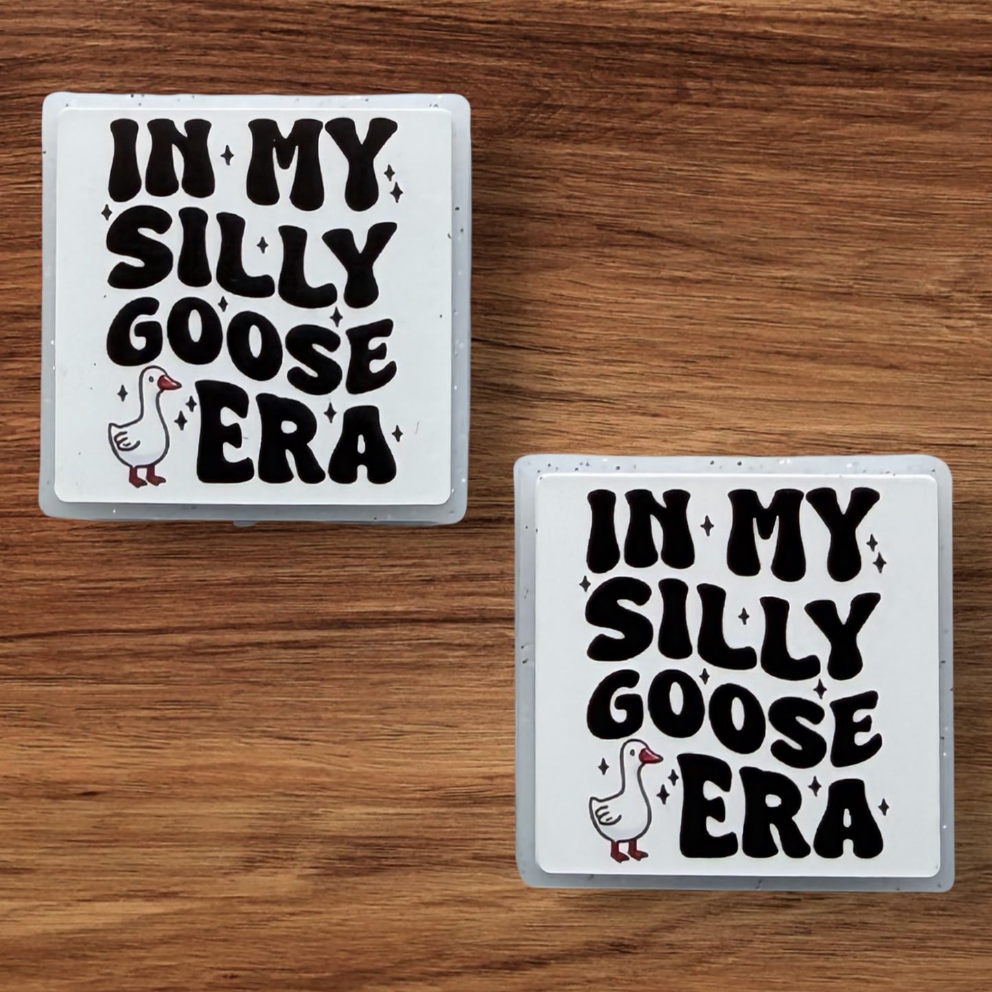 In My Silly Goose Era Focal