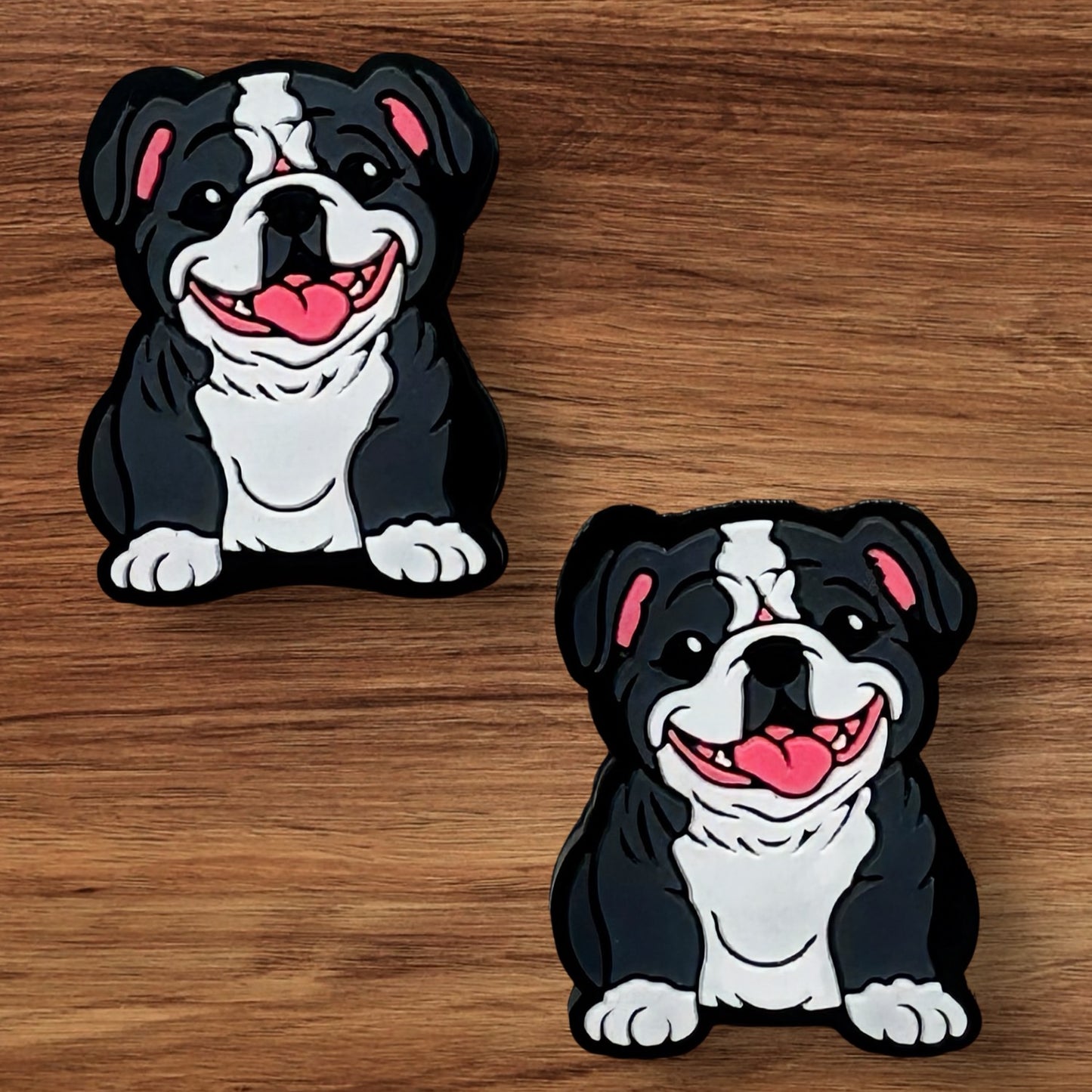 Frenchie Focal