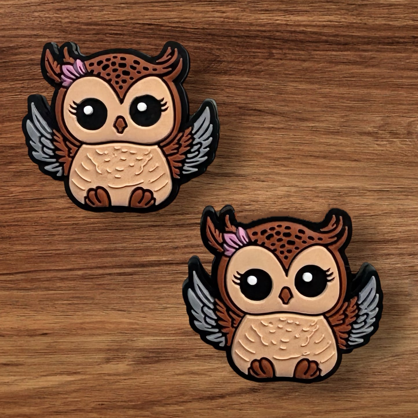 Owl With Wings Focal