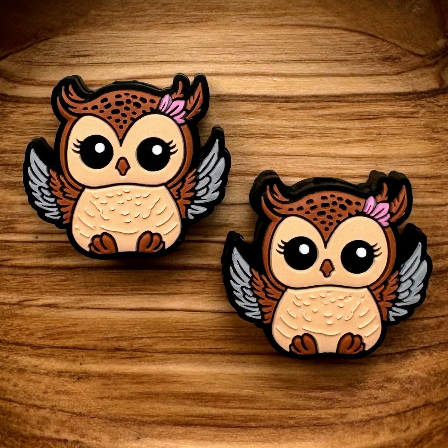 Owl With Wings Focal