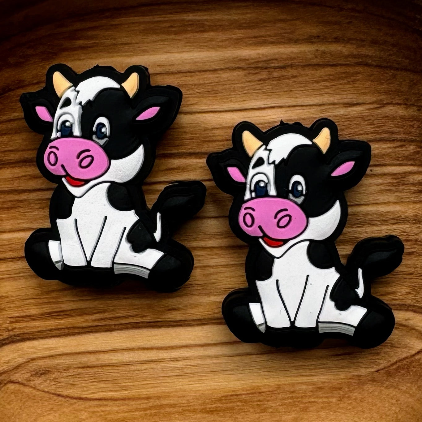 Black & White Cow Focal