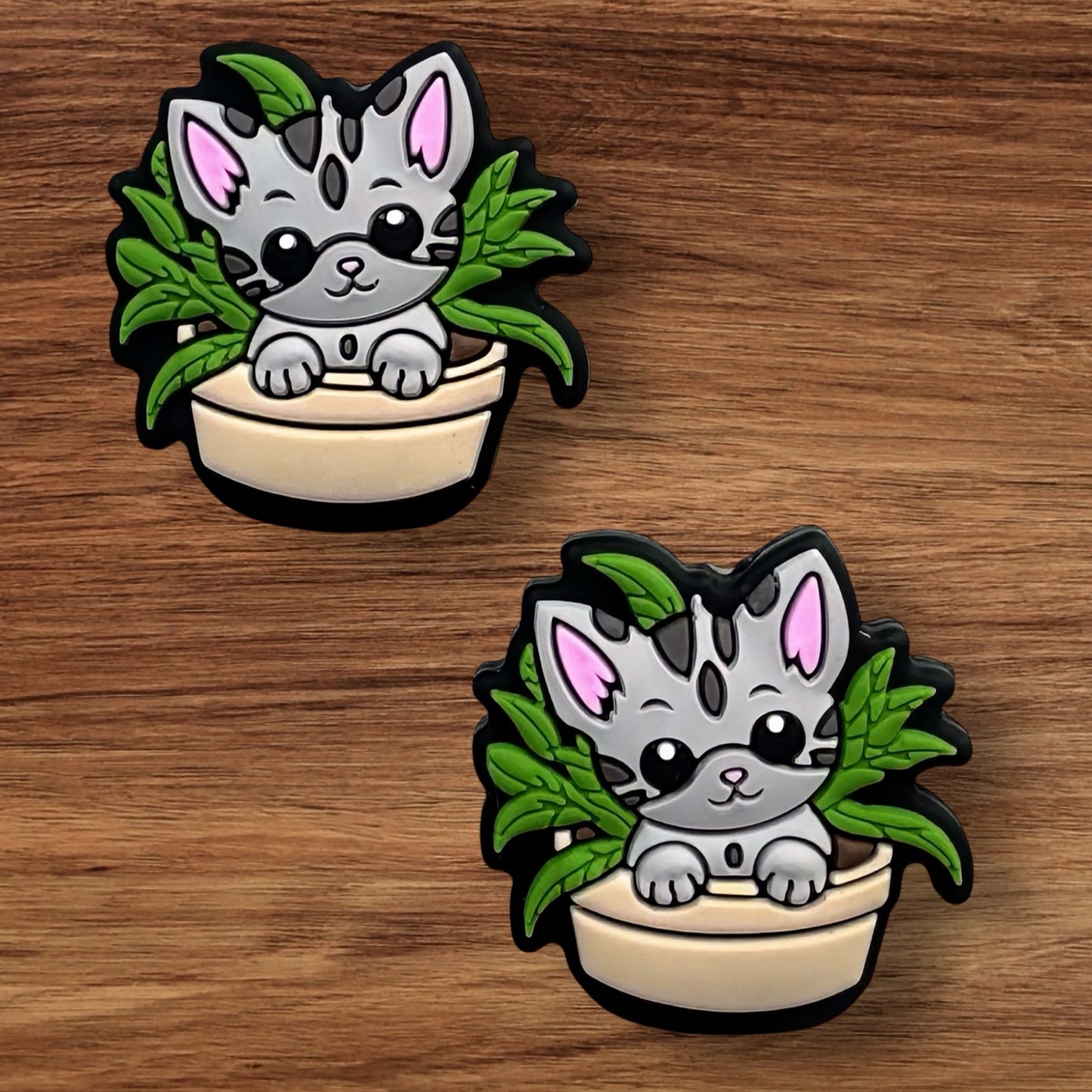 Kitty In Plant Focal