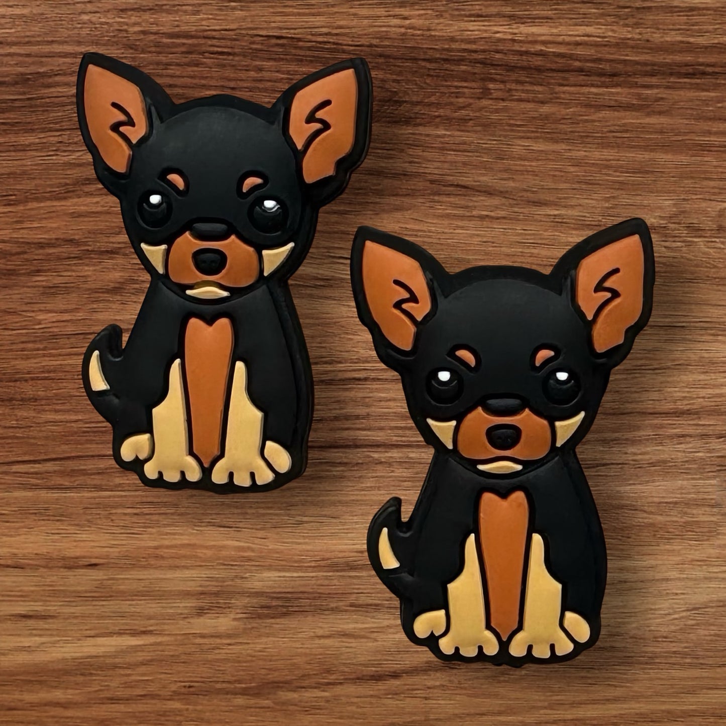 Chihuahua Dog Focal