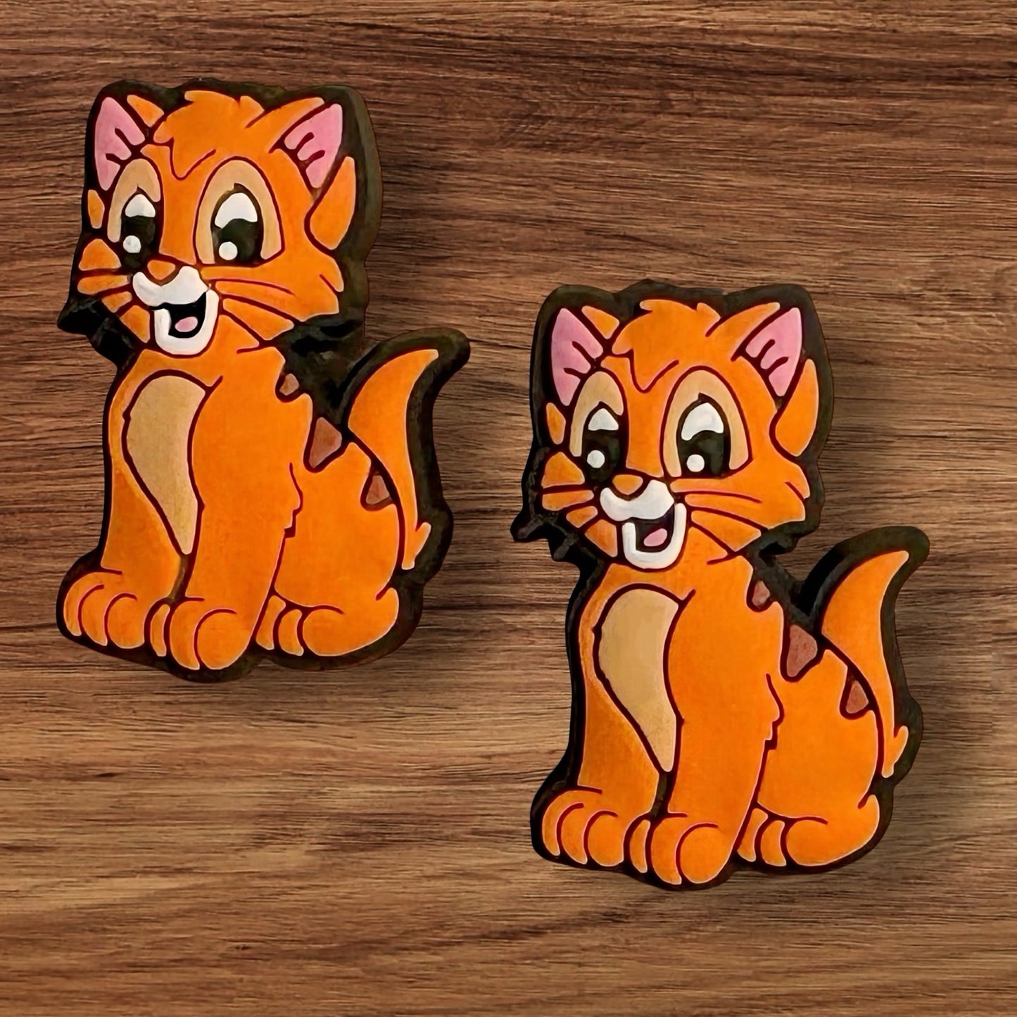 Orange Cat Focal