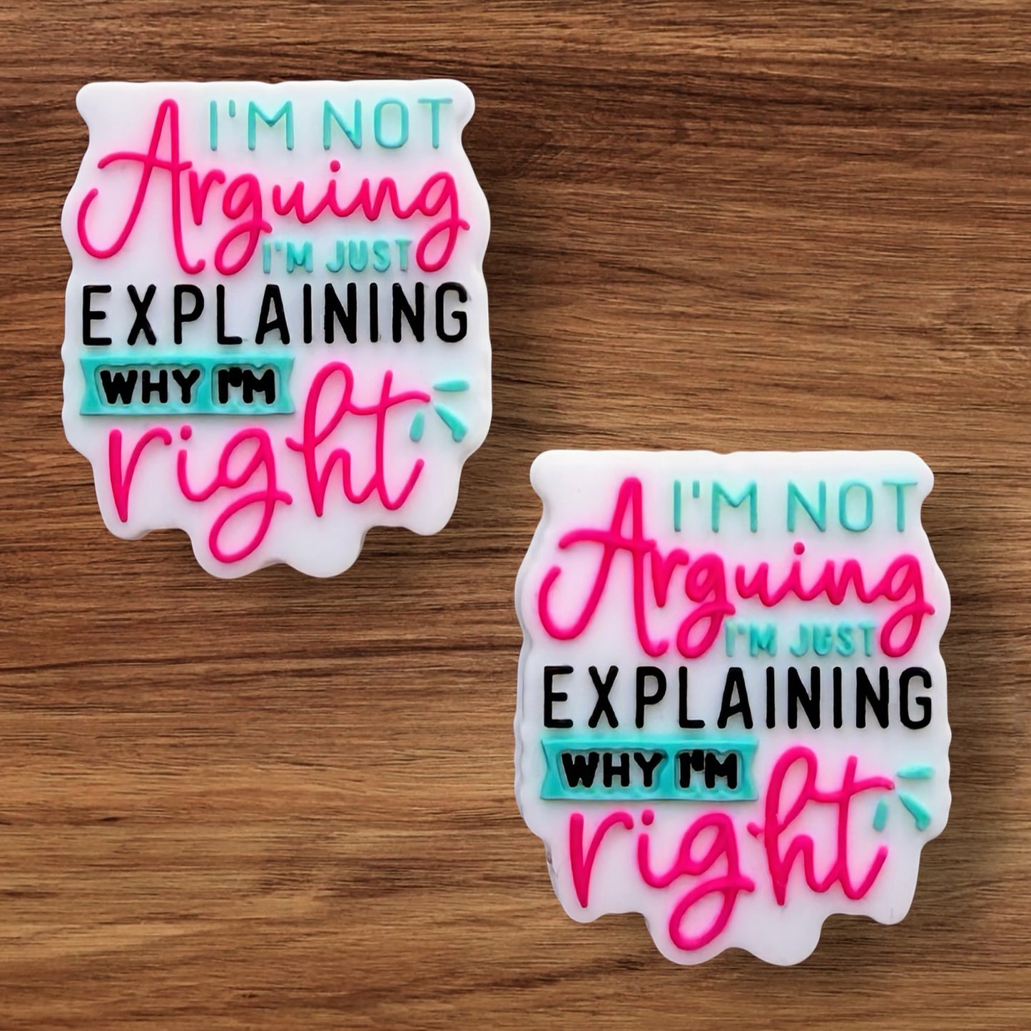 I’m Not Arguing I’m Explaining Why I’m Right Focal