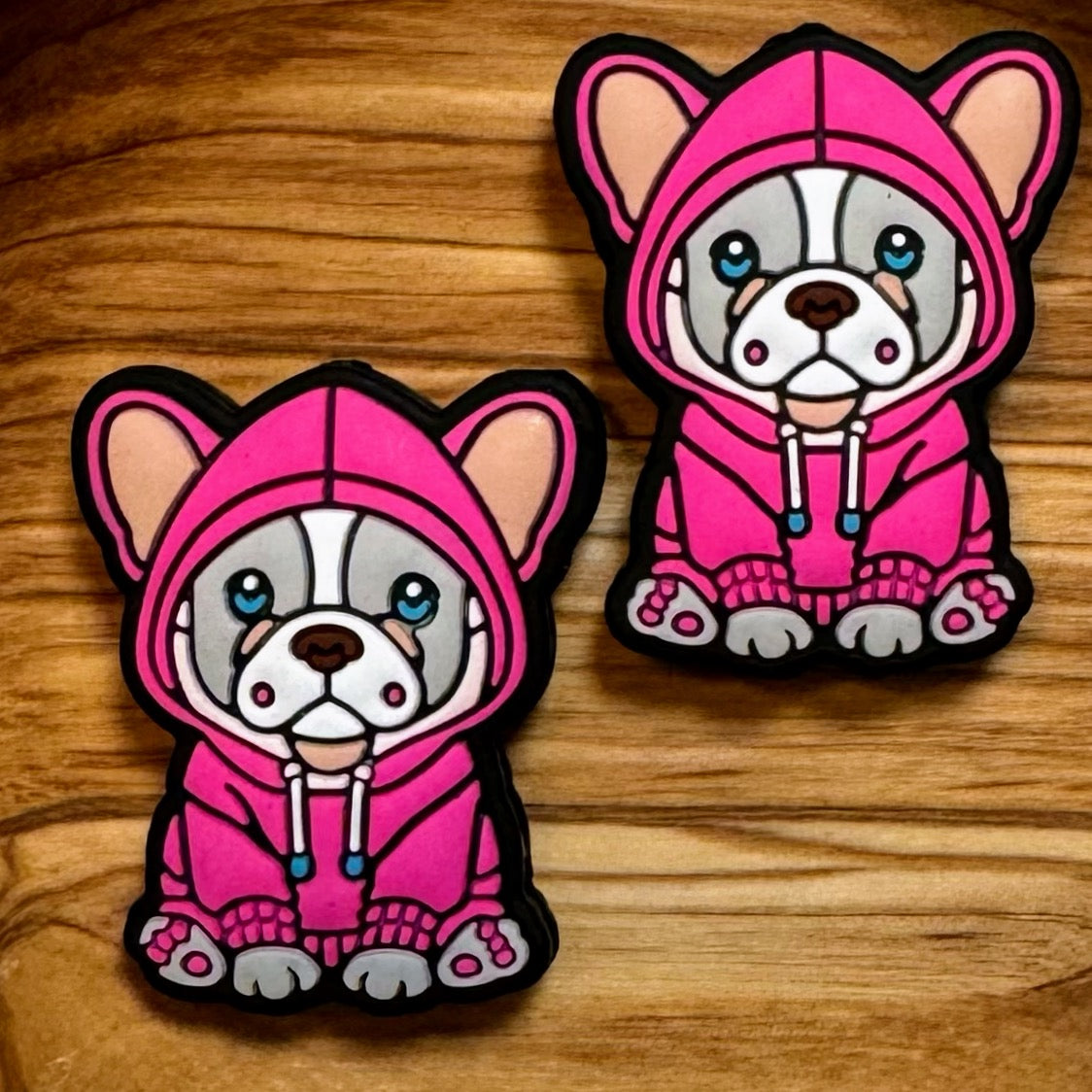 Dog In Pink Sweatshirt Focal