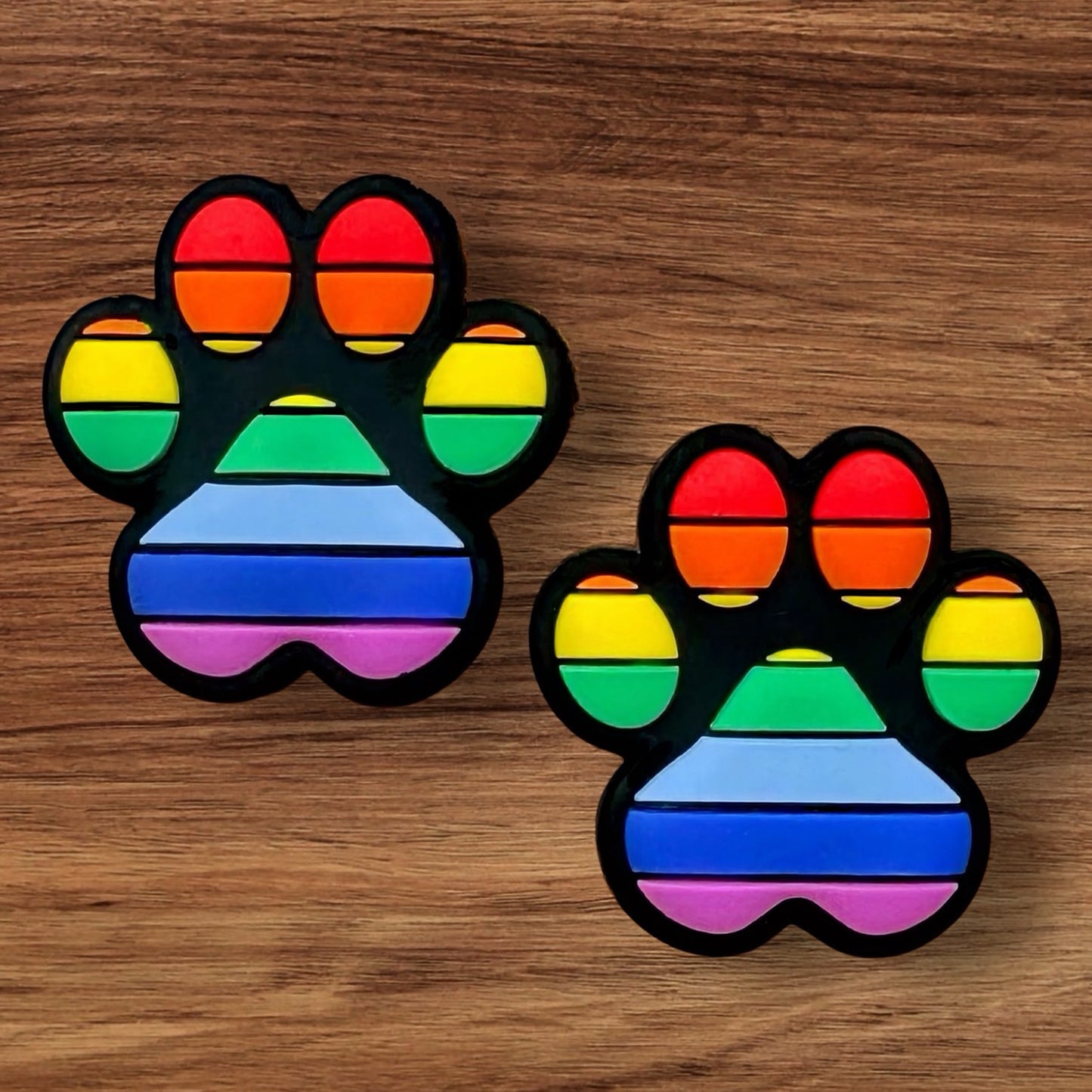 Rainbow Paw Focal