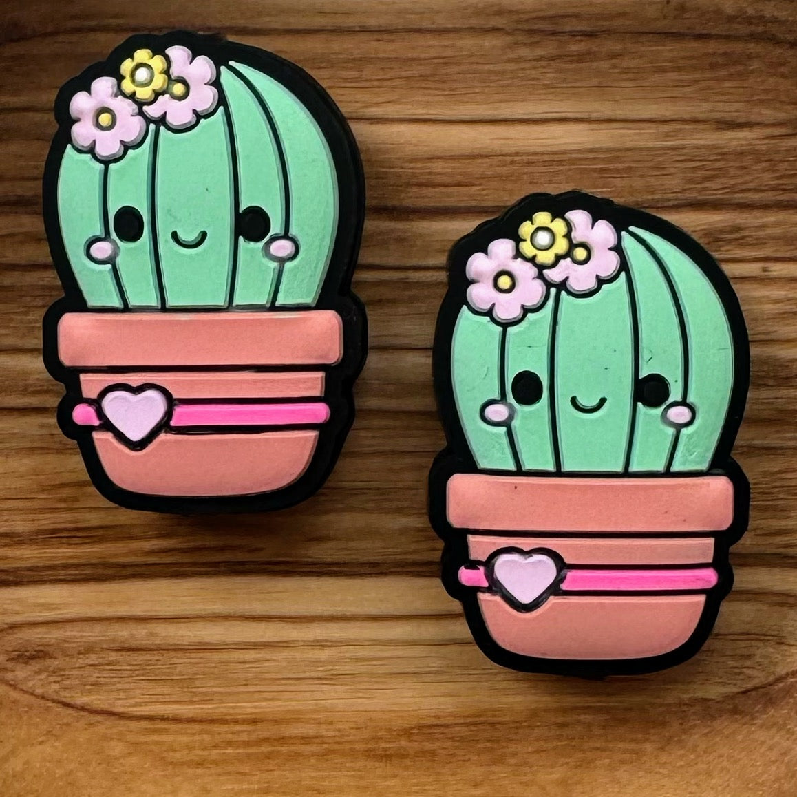 Happy face cactus