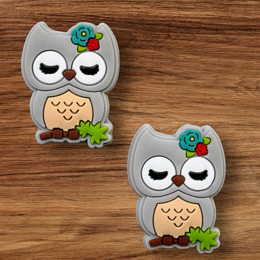 Gray Owl Focal