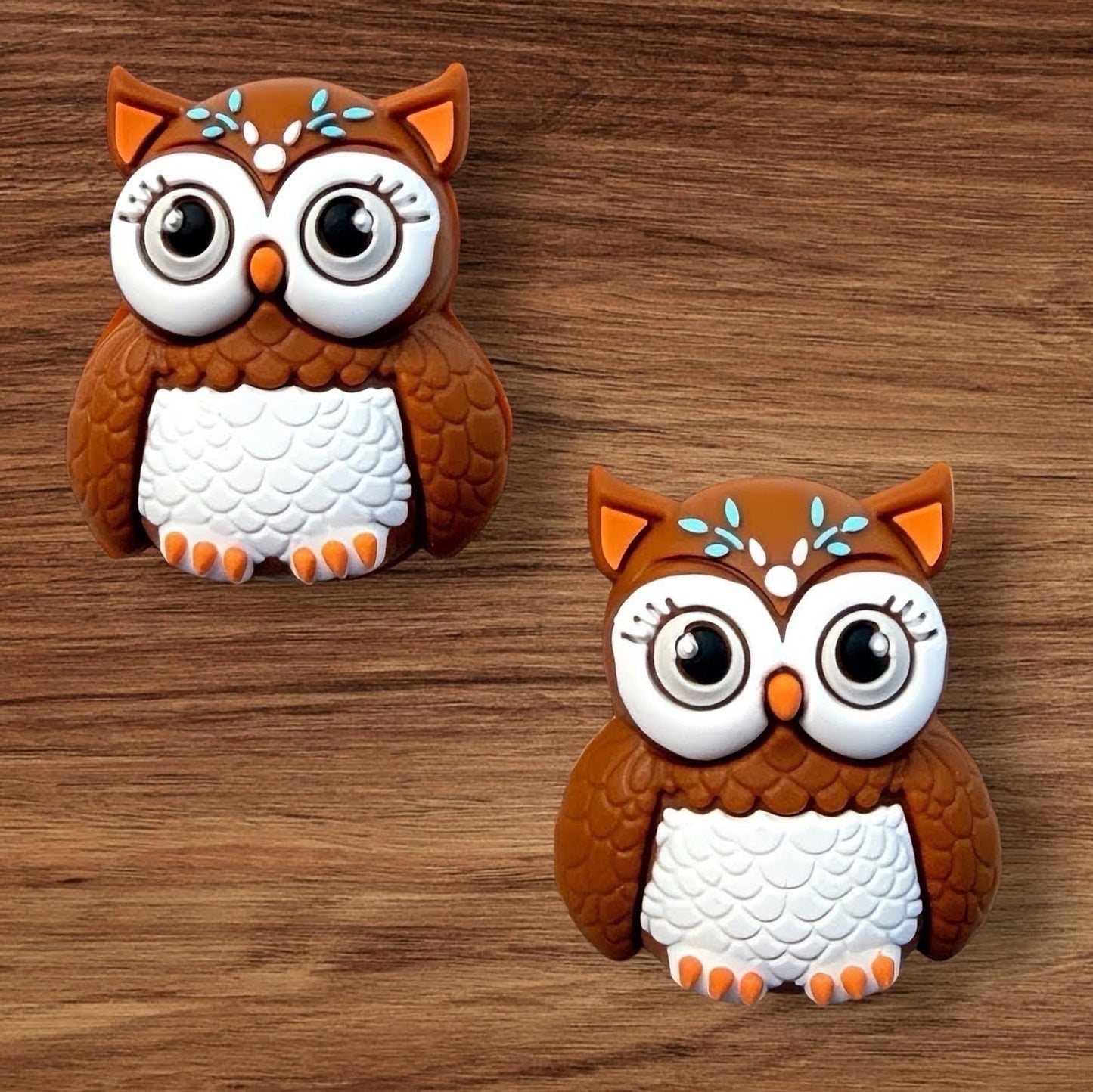 3-D Owletta Focal