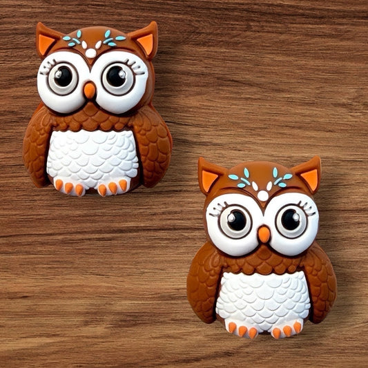 3-D Owletta Focal
