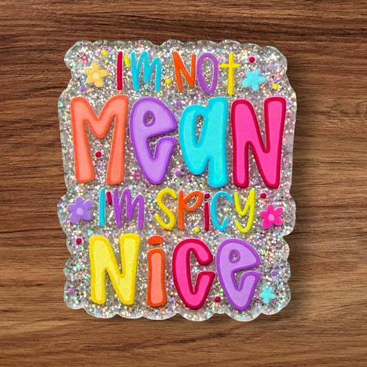 I’m Not Mean I’m Spicy Nice Acrylic Flatback