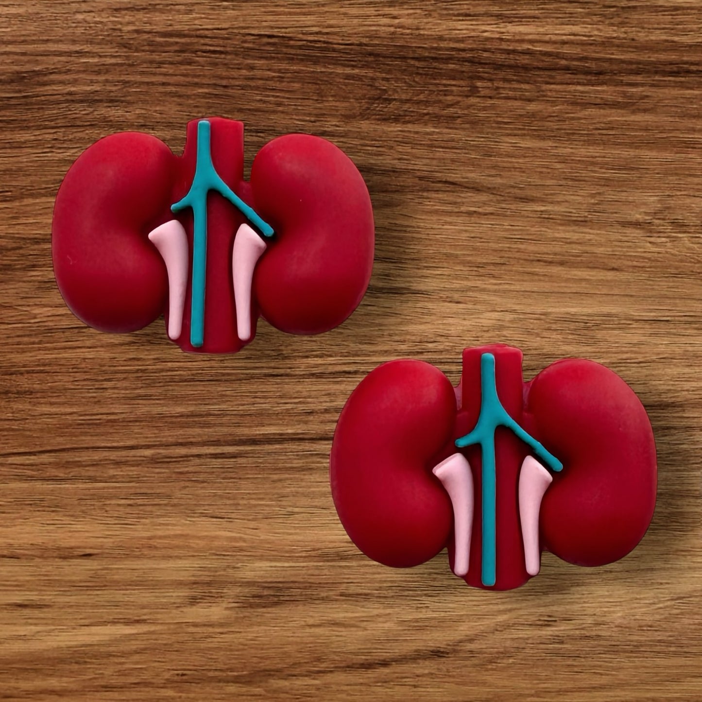 3-D Kidney Focal