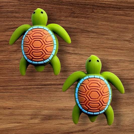 Thomas The Sea Turtle Focal