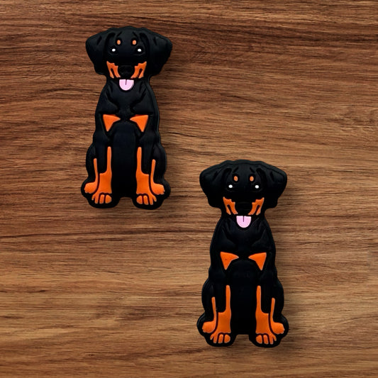 Black Lab Focal