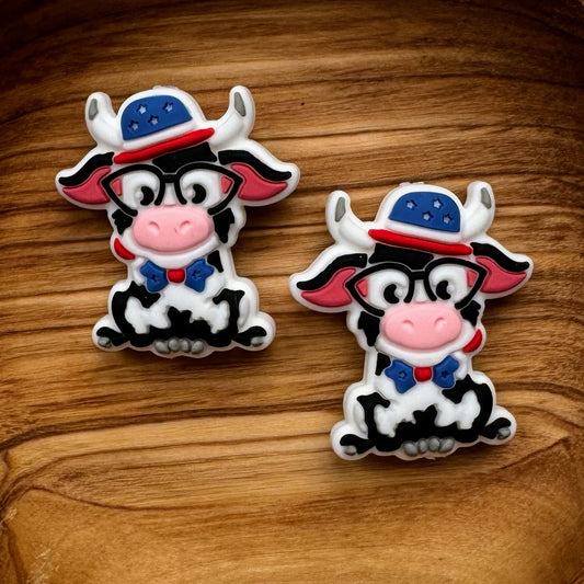 American Cow Focal