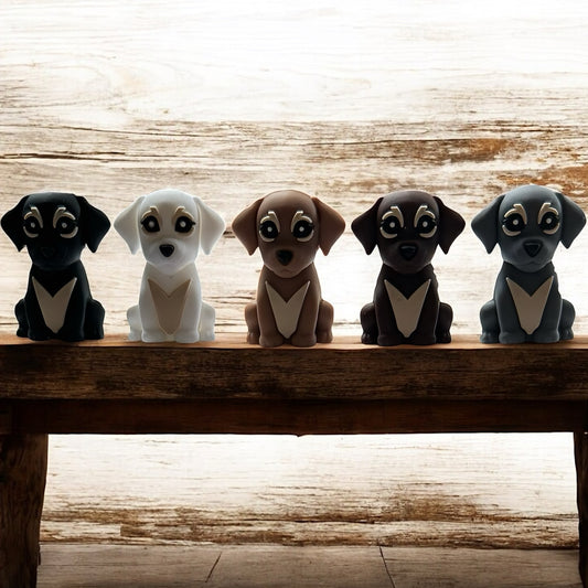 3-D Dog Focal