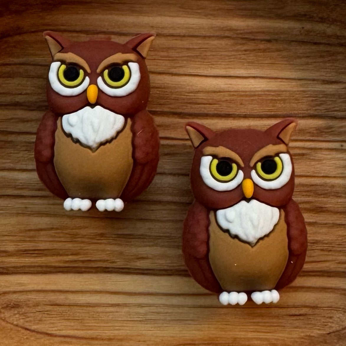 3-D Owl Focal