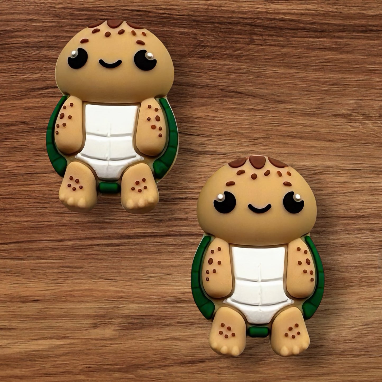 3-D Turtle Focal