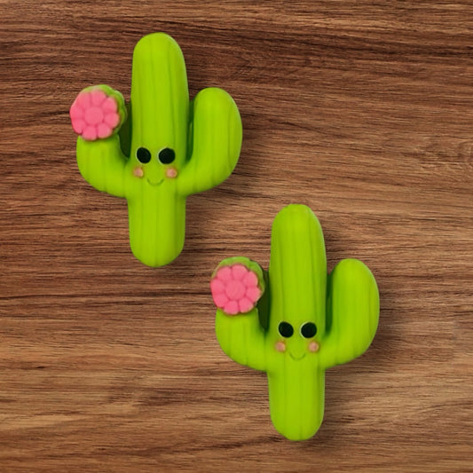 3-D Cactus Focal