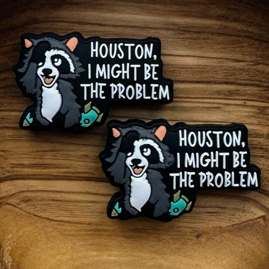 Houston I Might Be The Problem Focal