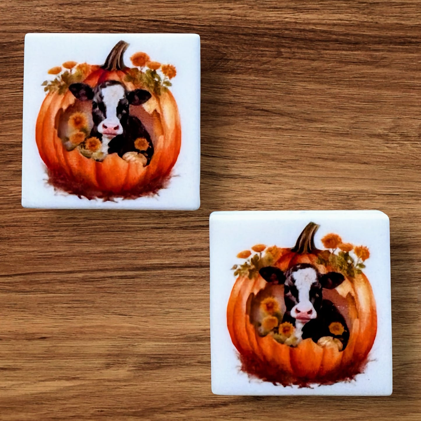 Cow In Pumpkin Focal (Custom)