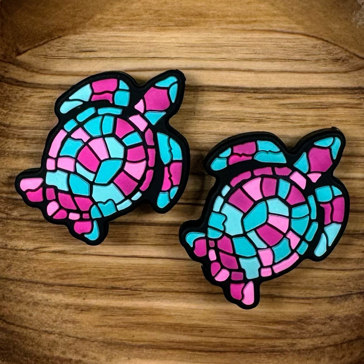 Colorful Turtle Focal