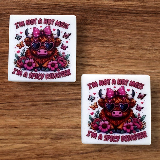 I’m Not A Hot Mess I’m A Spicy Disaster Focal (Custom)